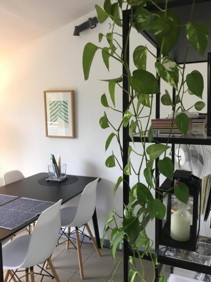 Charming Duplex With Terrace Historical City Center Arles Luaran gambar